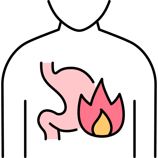 stomach (1)