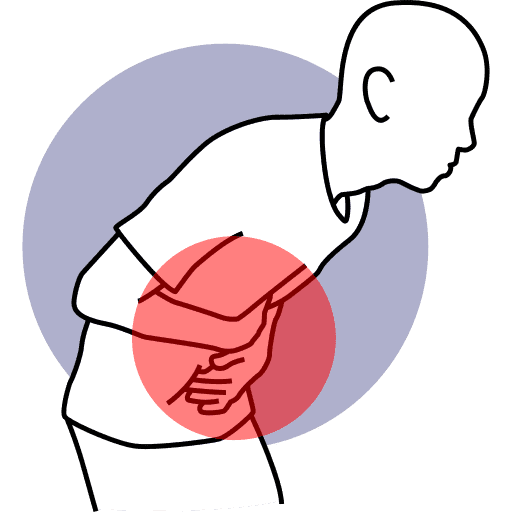 torso